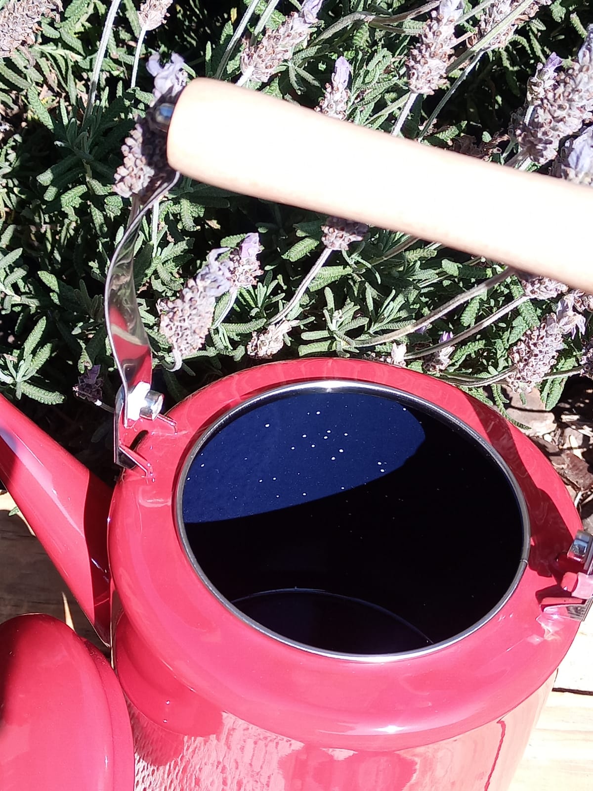 Klassieke Erde Teepot met Hout afwerking - Image 7