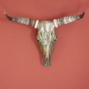 Dekoratiewe Nguni Skedel 1