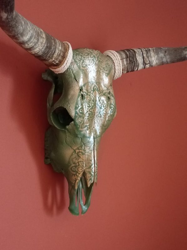 Dekoratiewe Nguni Skedel 1 - Image 2