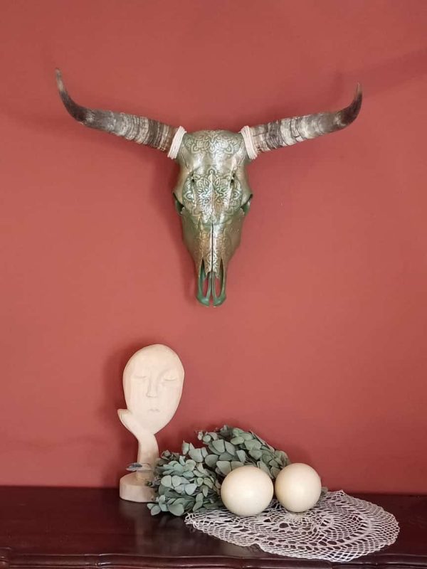 Dekoratiewe Nguni Skedel 1 - Image 3