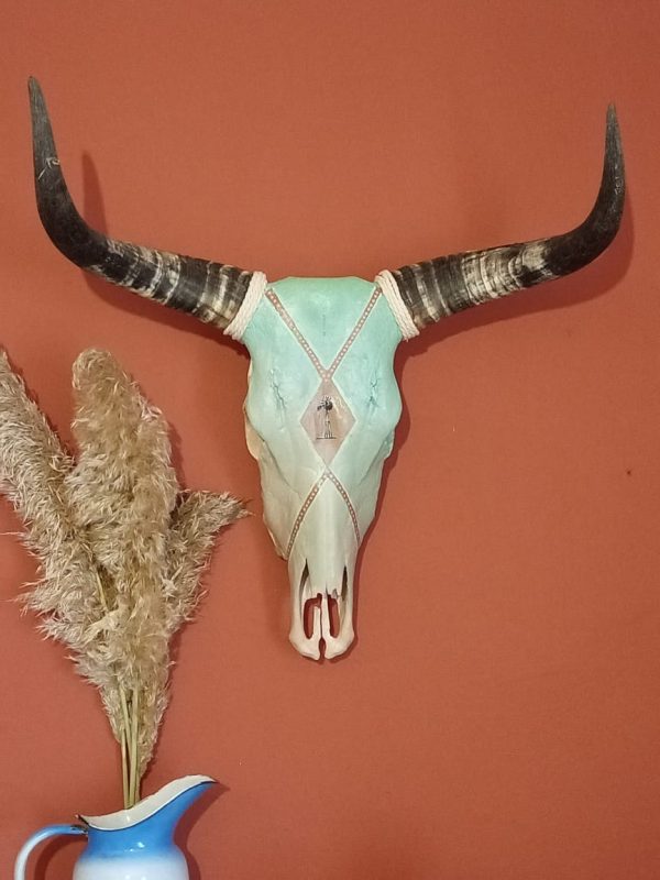 Dekoratiewe Nguni Skedel 3 - Image 2