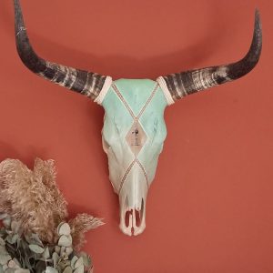 Dekoratiewe Nguni Skedel 3